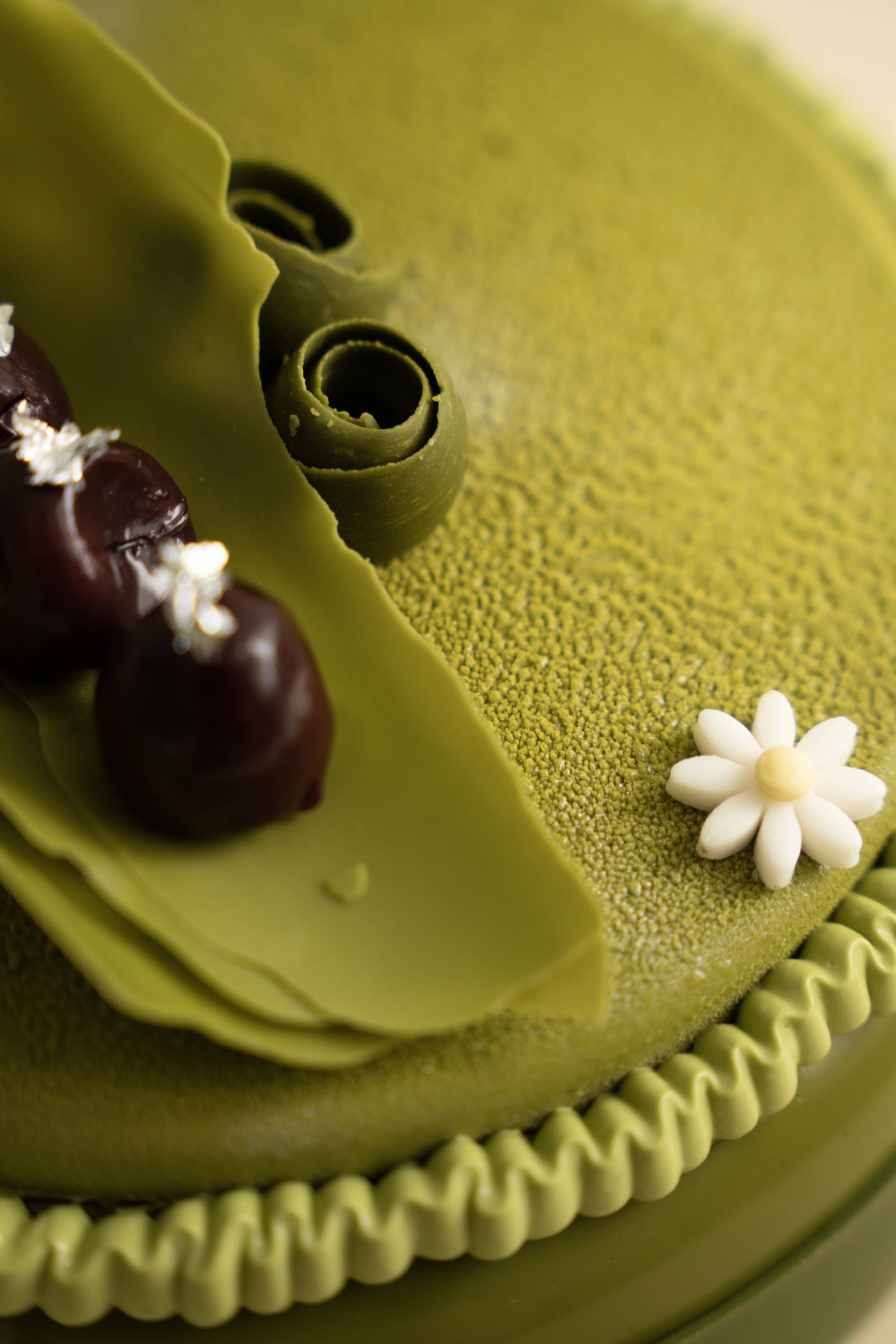 Matcha Forest